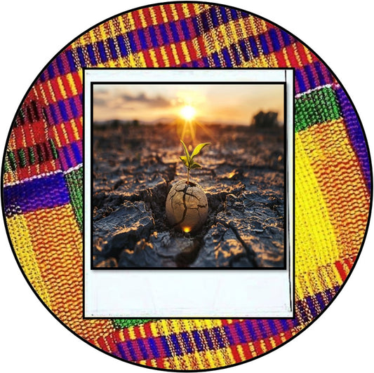 {🌍}°(01) SUSTAINABLE DEVELOPMENT & CLIMATE CHANGE AWARENESS